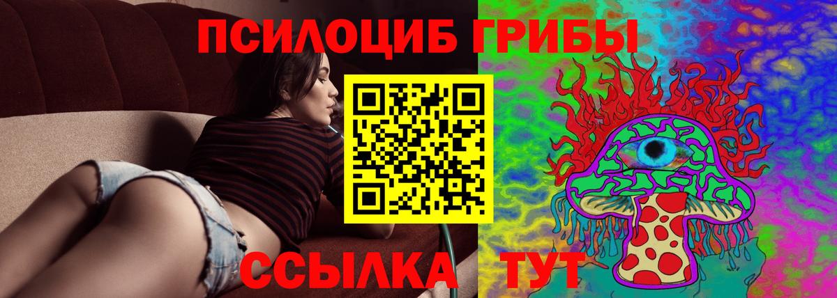 Псилоцибиновые грибы мицелий  Вход с VPN  Галлюциногенные грибы Cubensis  Россия 